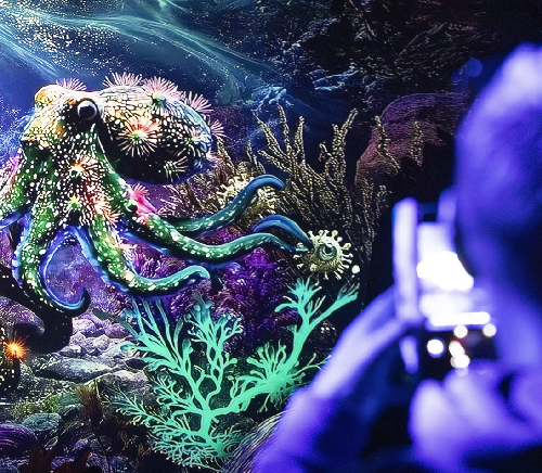 Une aventure fantastique inédite à Beauval